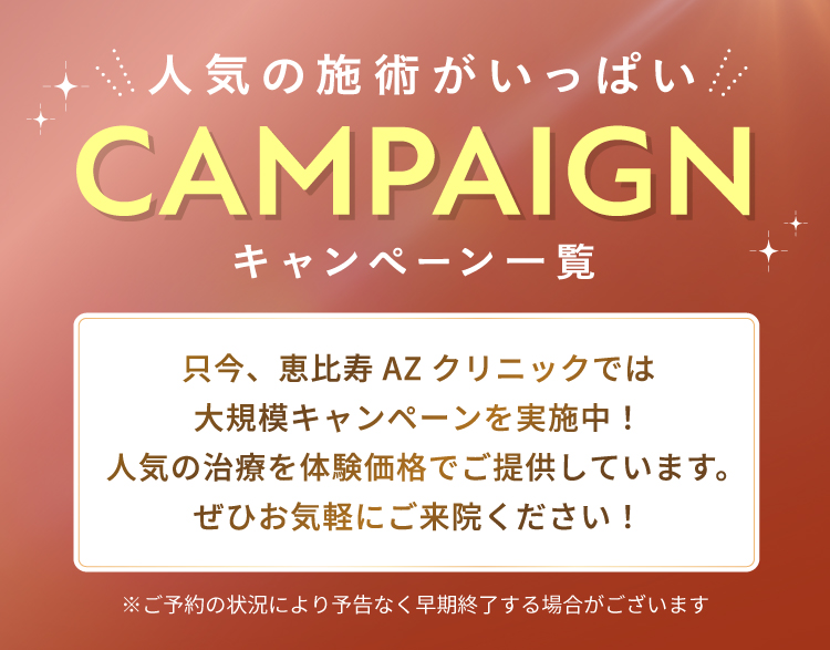 キャンペーンFV